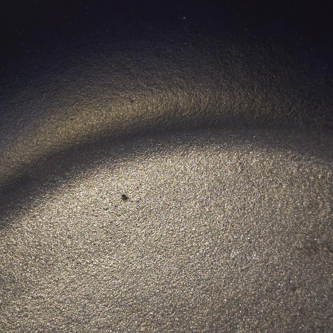 【中古】STAUB フレンチオーブン Lily グランブルー 24cm 3.6L