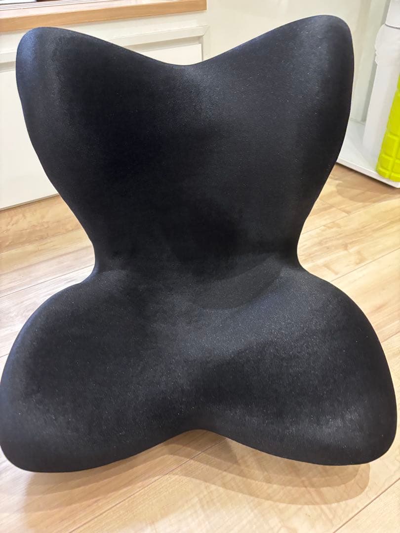 Style PREMIUM DX （スタイルプレミアムデラックス）