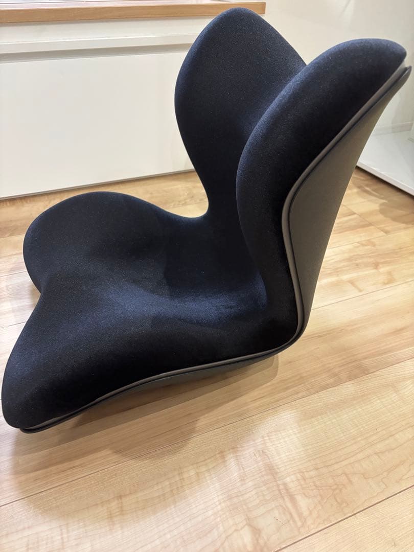 Style PREMIUM DX （スタイルプレミアムデラックス）