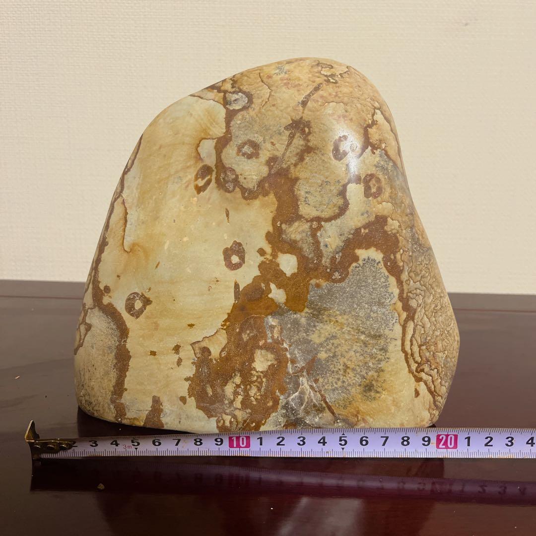 最高級鑑賞石】菊花石 20cm 紋石 水石 盆石 根尾谷 天然石 置物 - メルカリ