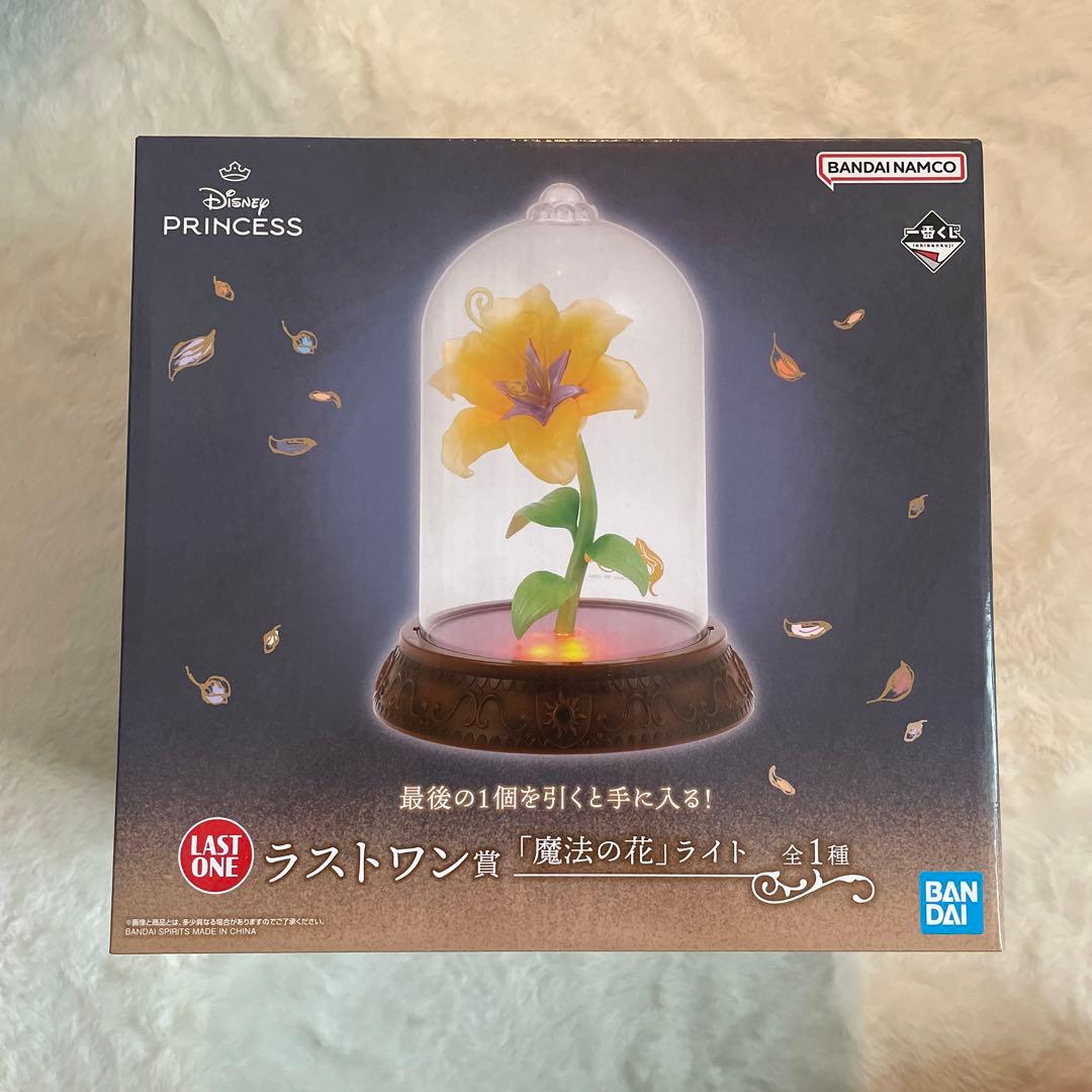 ディズニープリンセス 魔法の花ライトとミニキャンバスボード セット ディズニープリンセス 魔法の花ライトとミニキャンバスボード セット