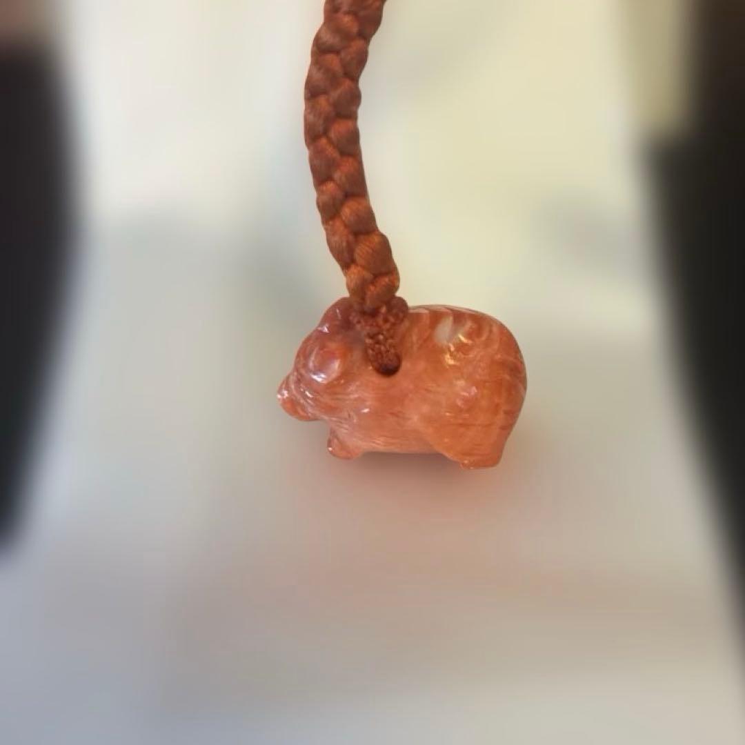 谷口康隆 作 猪 百貨店購入 根付 チャーム ストラップ 珊瑚