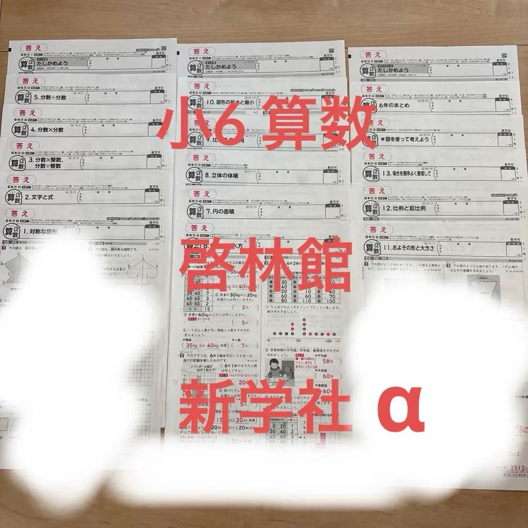 カラーテスト 答え 小6 算数 啓林館 新学社 α テスト対策 - メルカリ