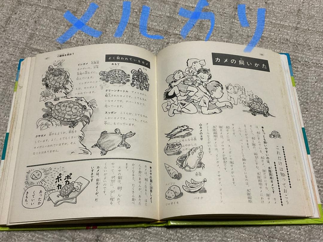 昭和47年3月10日第4刷発行／小学館入門百科シリーズ4。