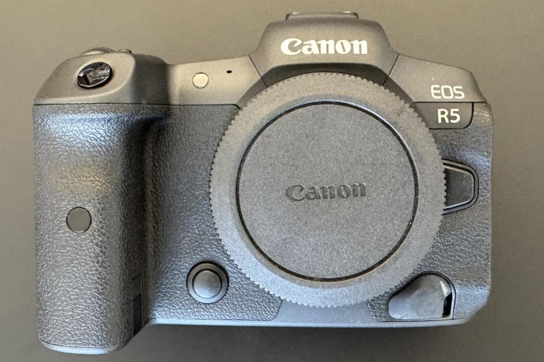 ショット回数300以下】Canon EOS R5 ボディ キヤノン - メルカリ