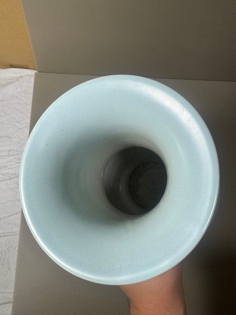 2106 古美術 大清雍正年製銘 天藍釉 花鳥紋橄欖瓶 珍蔵品 時代物