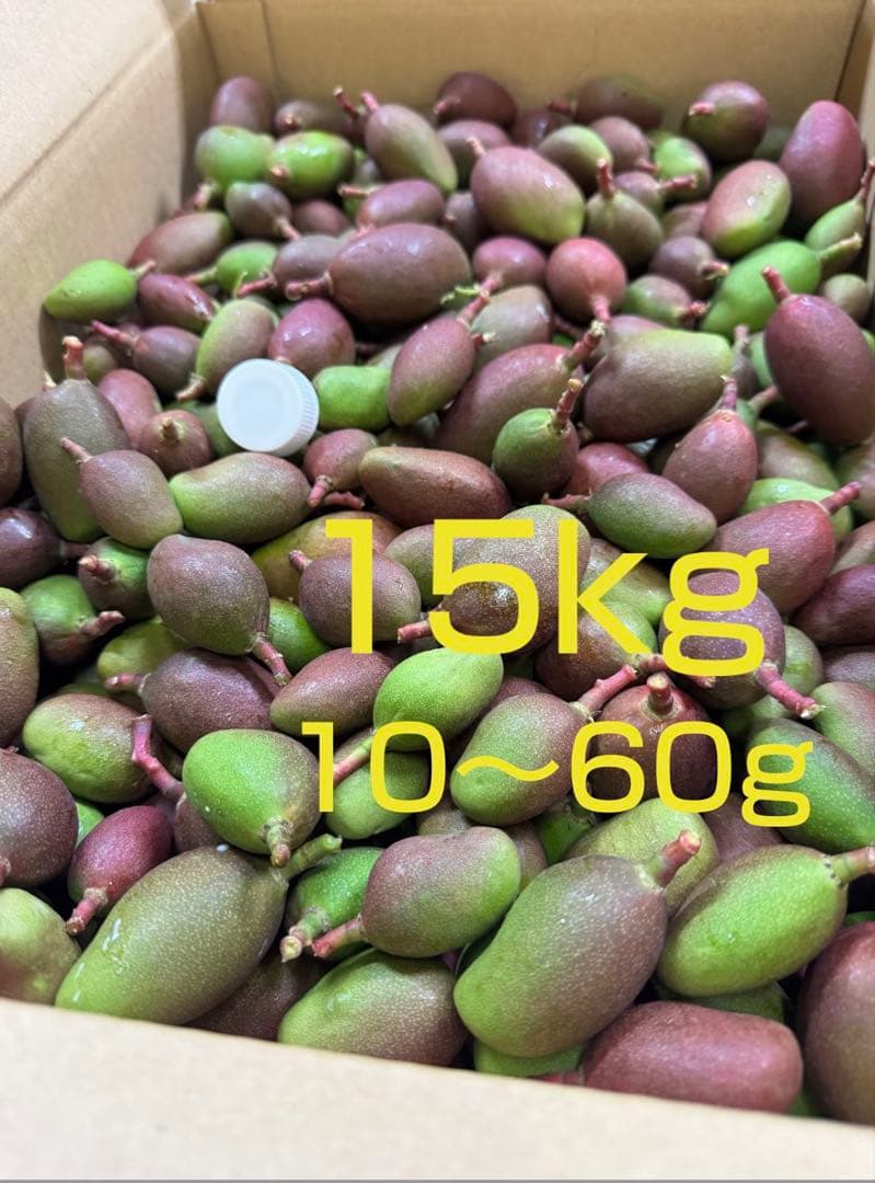 摘果マンゴー 15kg （10~60g） - メルカリ