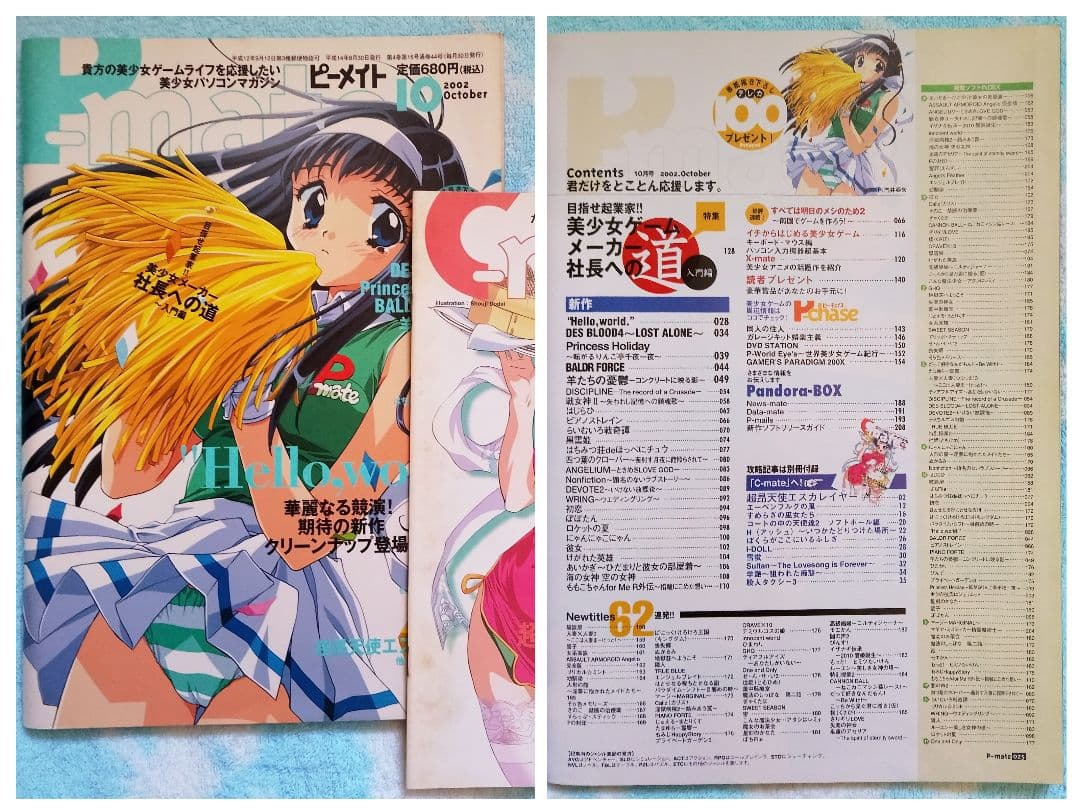 ピーメイト　2002年1月号〜12月号セット