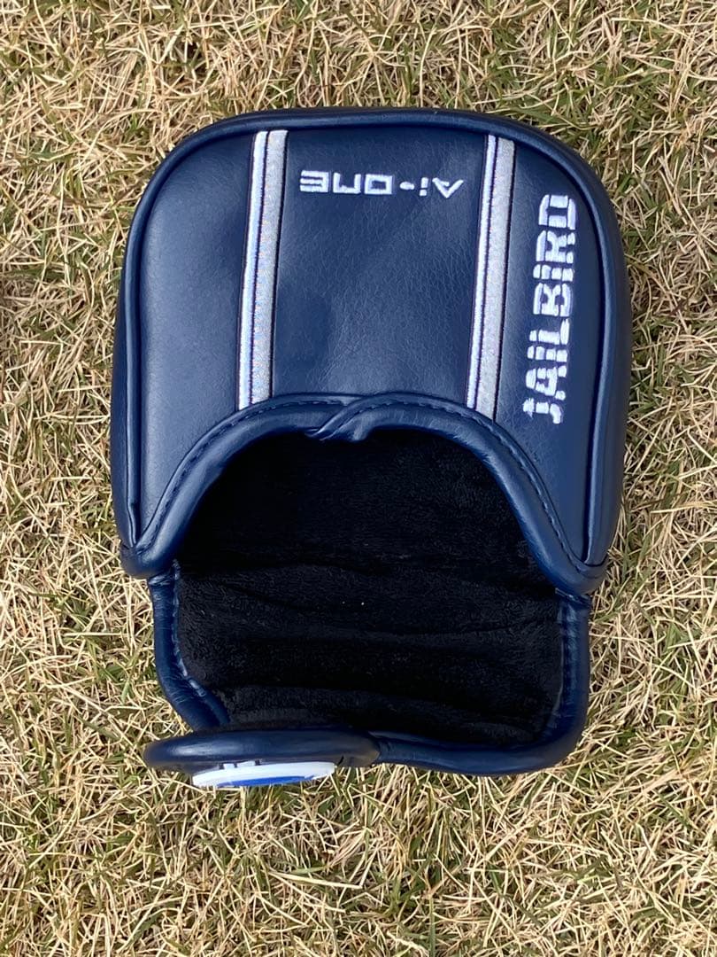 オデッセイ A i -ONE スクエア2スクエア ジェイルバード 34in