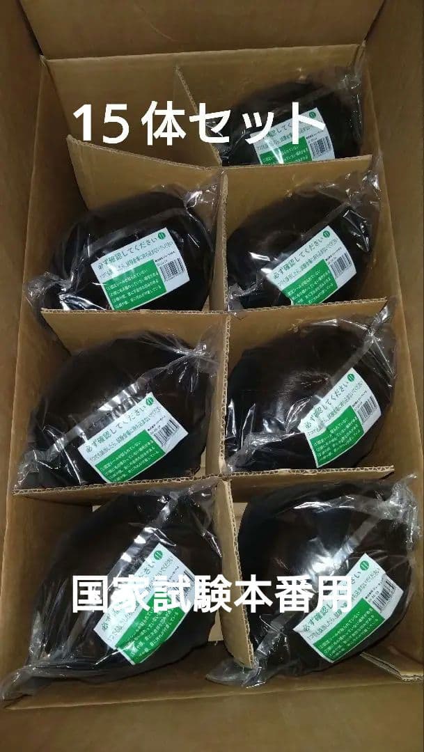 B*G様 美容師国家試験用　カットウィッグ　1５体セット カットウィッグ 美容師 マイスター 国家試験 練習 美容師国家試験 練習