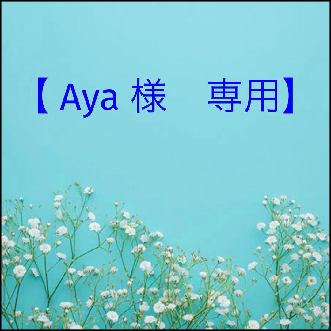 ミルボン アディクシー ⑬アッシュグレーとシャンプー【ブリーチと