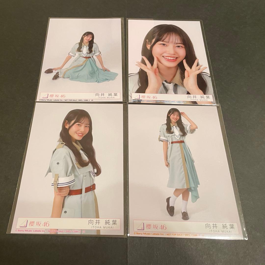 向井純葉 櫻坂46 12th 封入生写真 コンプ - メルカリ