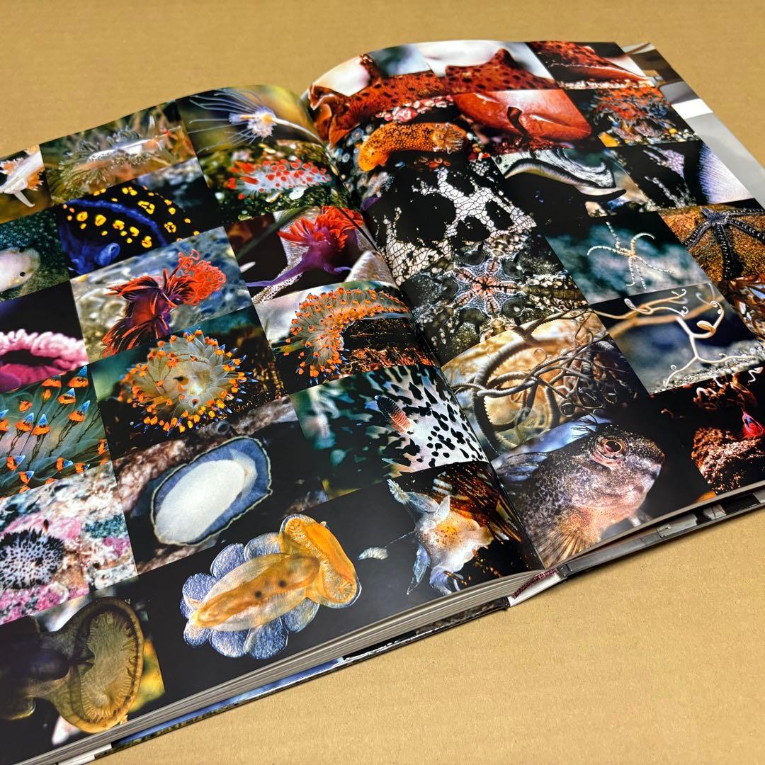 中古洋書】THE WORLD OF CHARLES AND RAY EAMES - メルカリ