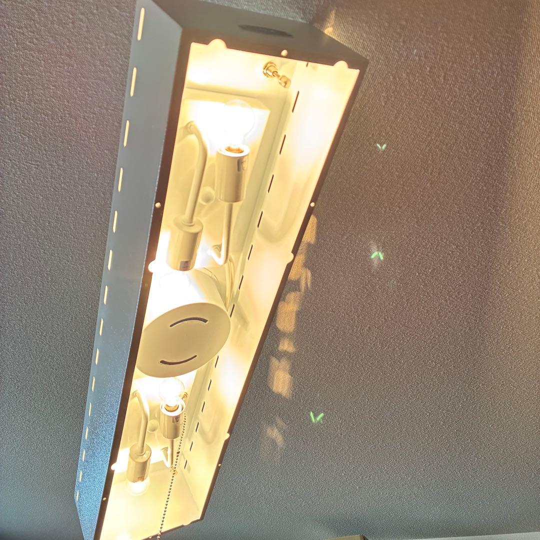 HERMOSA ハモサ CARDIFF カーディフランプ