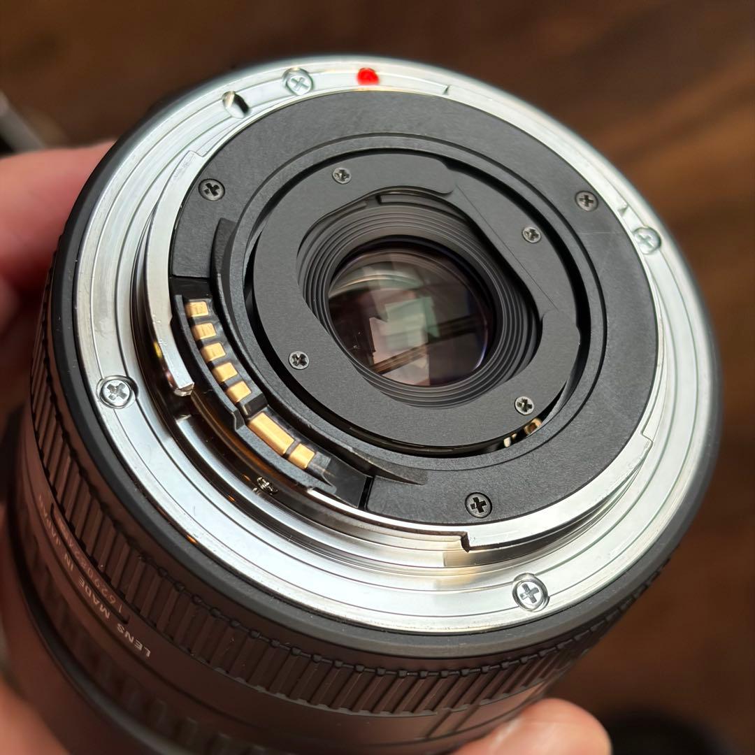 C anon EF300㎜ F4L USM 手ブレ補正機構なし Canon EF300mm F 4 L