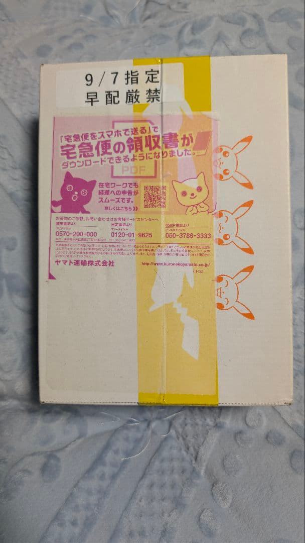 イーブイヒーローズ　1BOXポケモンセンター当選品 イーブイヒーローズ 1BOXポケモンセンター当選品 シュリンク未開封