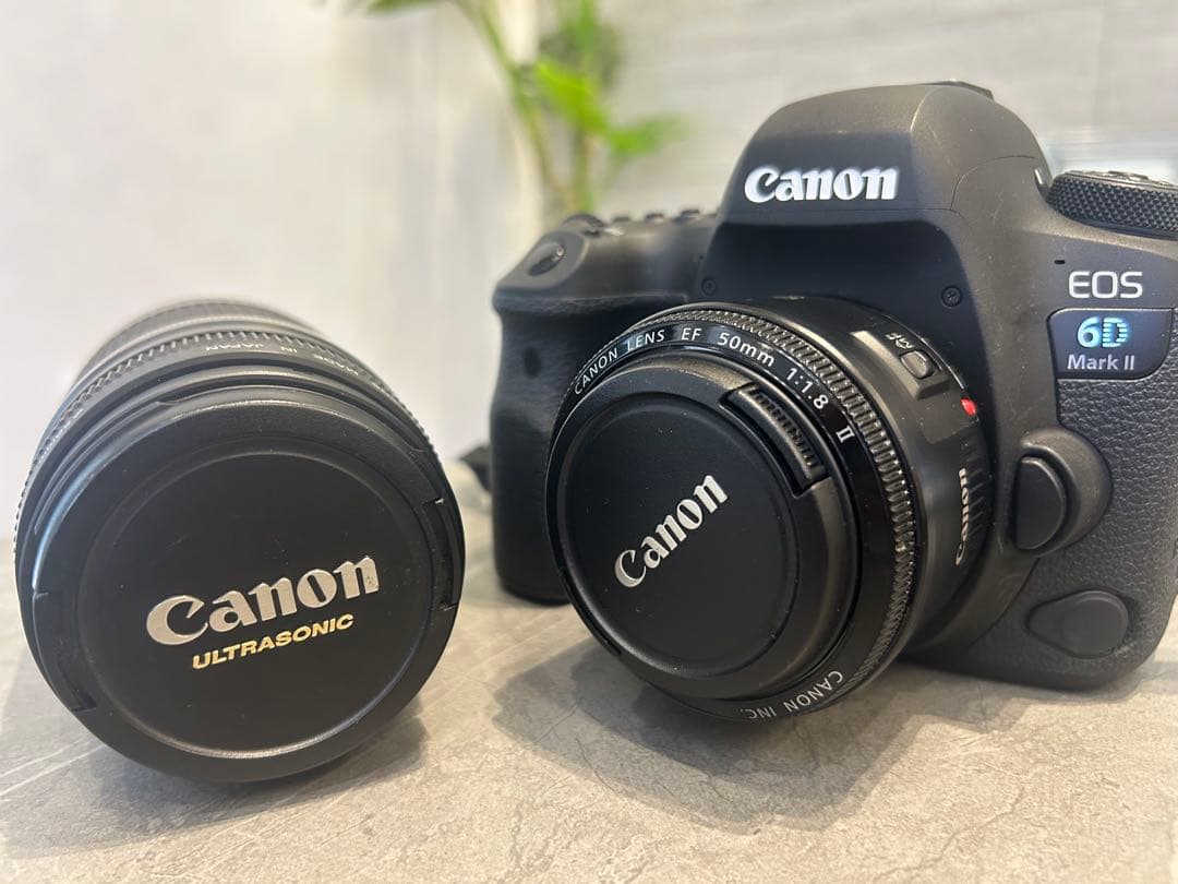 フルサイズ対応EF 75-300mmレンズ、50mm単焦点レンズの2個セット Amazon.com : Canon EF 75-300mm f/4-5.6 III Telephoto Zoom Lens for