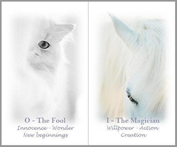 【正規品タロットカード】美麗✨美しい白の世界のタロット✨入手困難海外デッキ 羊の谷のタロットカード｜正規輸入品 | タロクル｜TaroCle (海外