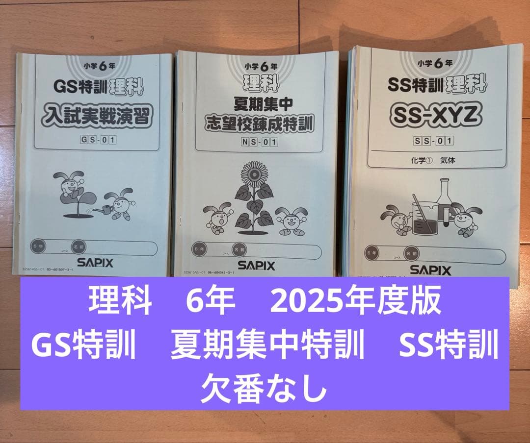 サピックス　6年　理科　GS特訓　夏期集中特訓　SS特訓　フルセット 楽天市場】SAPIX 小6 サピックス SS特訓 理科 全11回分フルセット