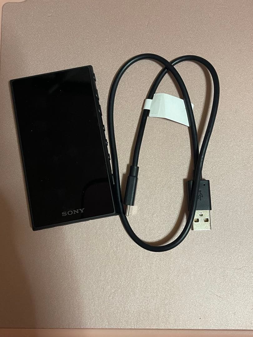 SONY WALKMAN タッチスクリーン s-l400.jpg