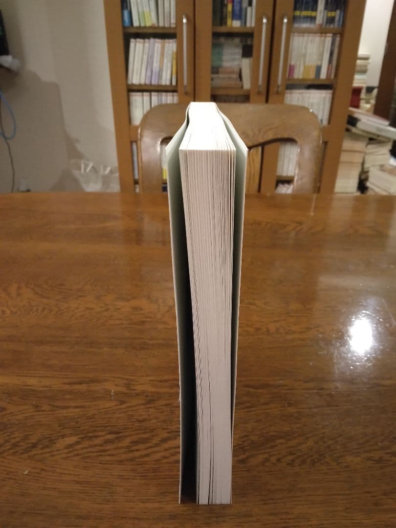 鉄布衫功 : 筋膜・腱・骨を鍛えるタオ気功