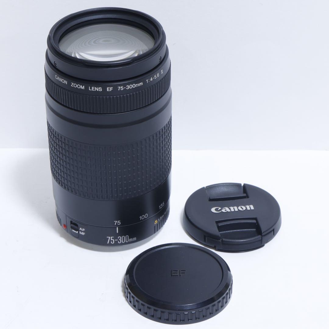 ◇ 大迫力300mm超望遠 ◇Canon純正 75-300mm II型 ◇ - メルカリ