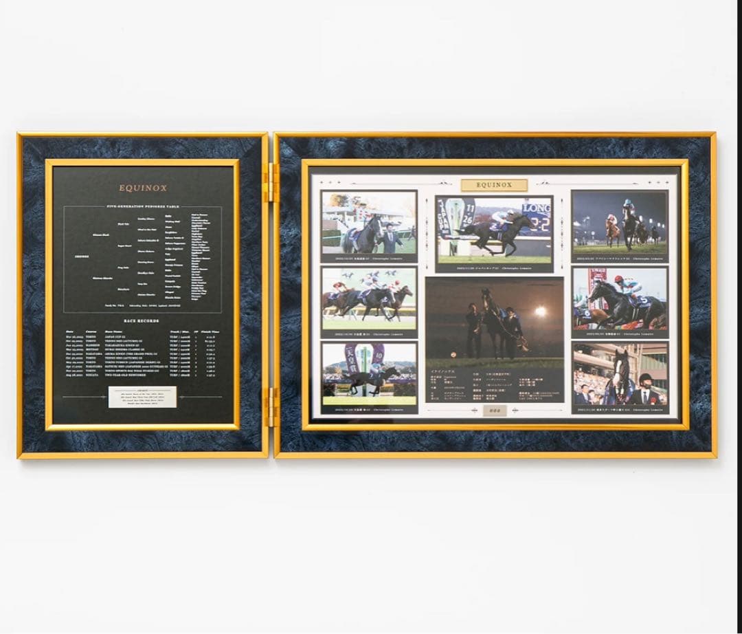 200個限定 イクイノックス 引退記念写真デザインパネル シリアル