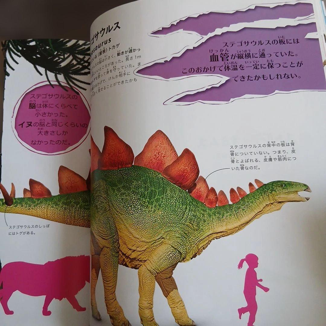 まとめ売り 絵本 仕掛け絵本 どうぶつ せかい地図 恐竜大行進 のりもの