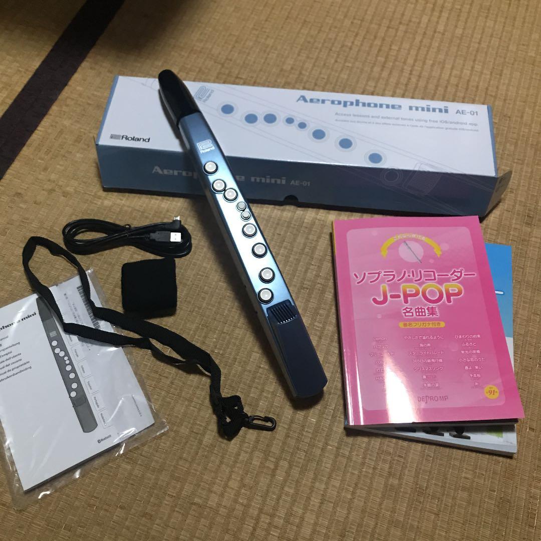Nintendo Switch Aerophone mini   AE-01 Amazon.com: Roland AE-01 Aerophone mini | Compact Digital Wind