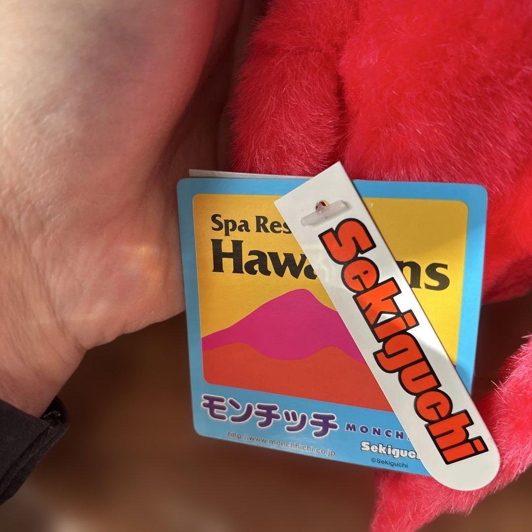 レア・美品】ご当地 スパリゾートハワイアンズ 限定 モンチッチ - メルカリ