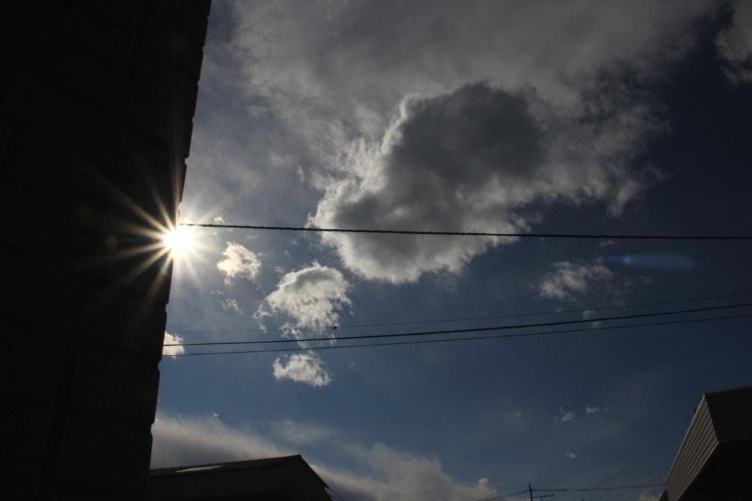 カ*ズ様 TAMRON 18-270mm F/3.5-6.3 Di II VC