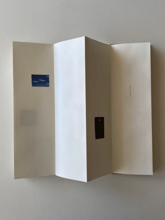 山本昌男 Masao Yamamoto 写真集 オオミズアオ サイン入り - メルカリ