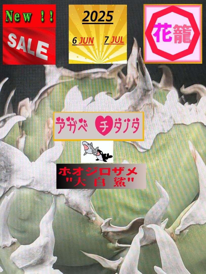 Coco様 リクエスト 2点 まとめ商品の通販はau PAY マーケット - 輸入