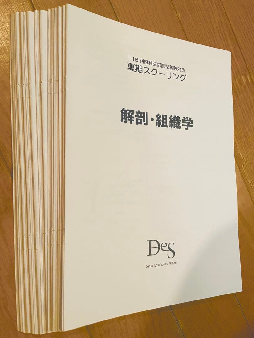 DES 夏期スクーリング 【最新版】