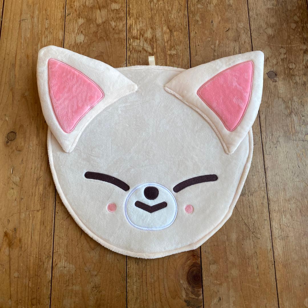 straykids in アイエン うちわケース うちわカバー - メルカリ