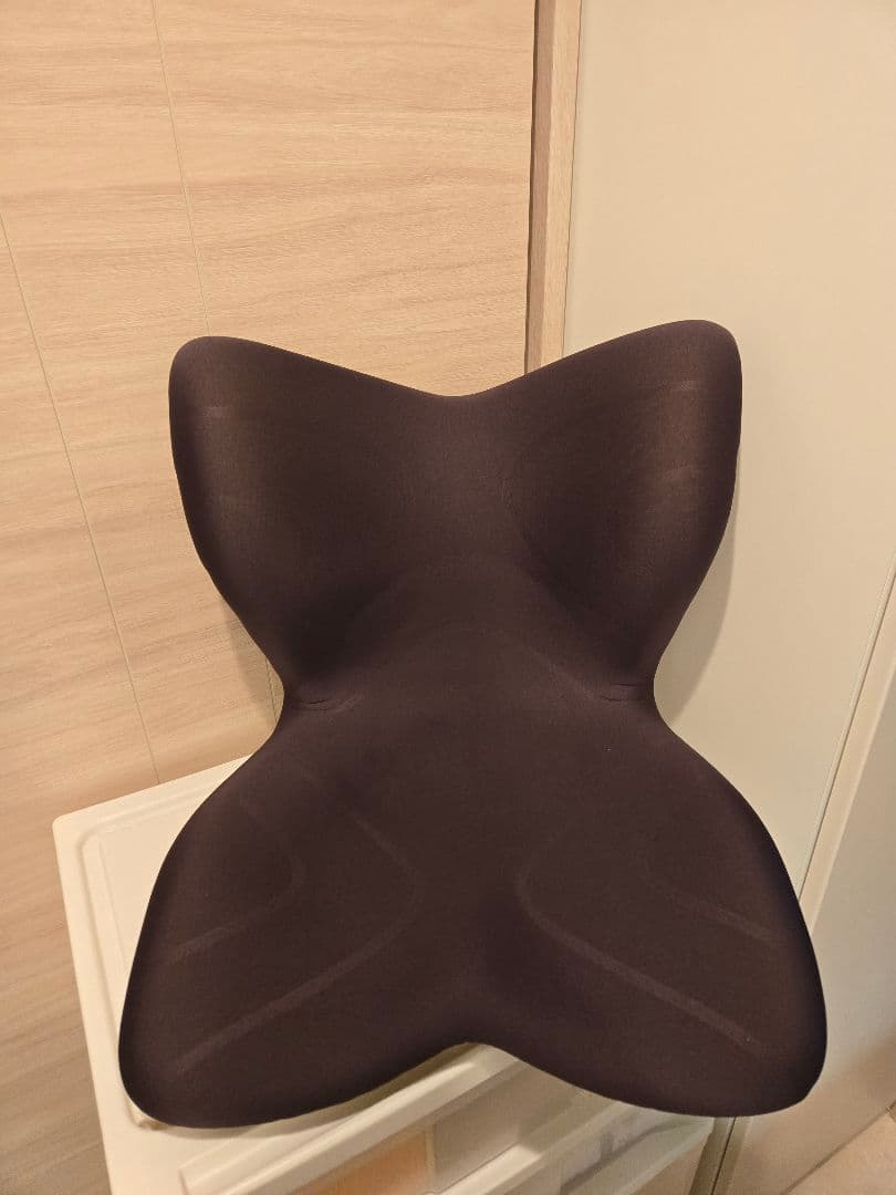 座椅子 MTG Style PREMIUM MTG Style PREMIUM スタイルプレミアム 座椅子 Style（スタイル