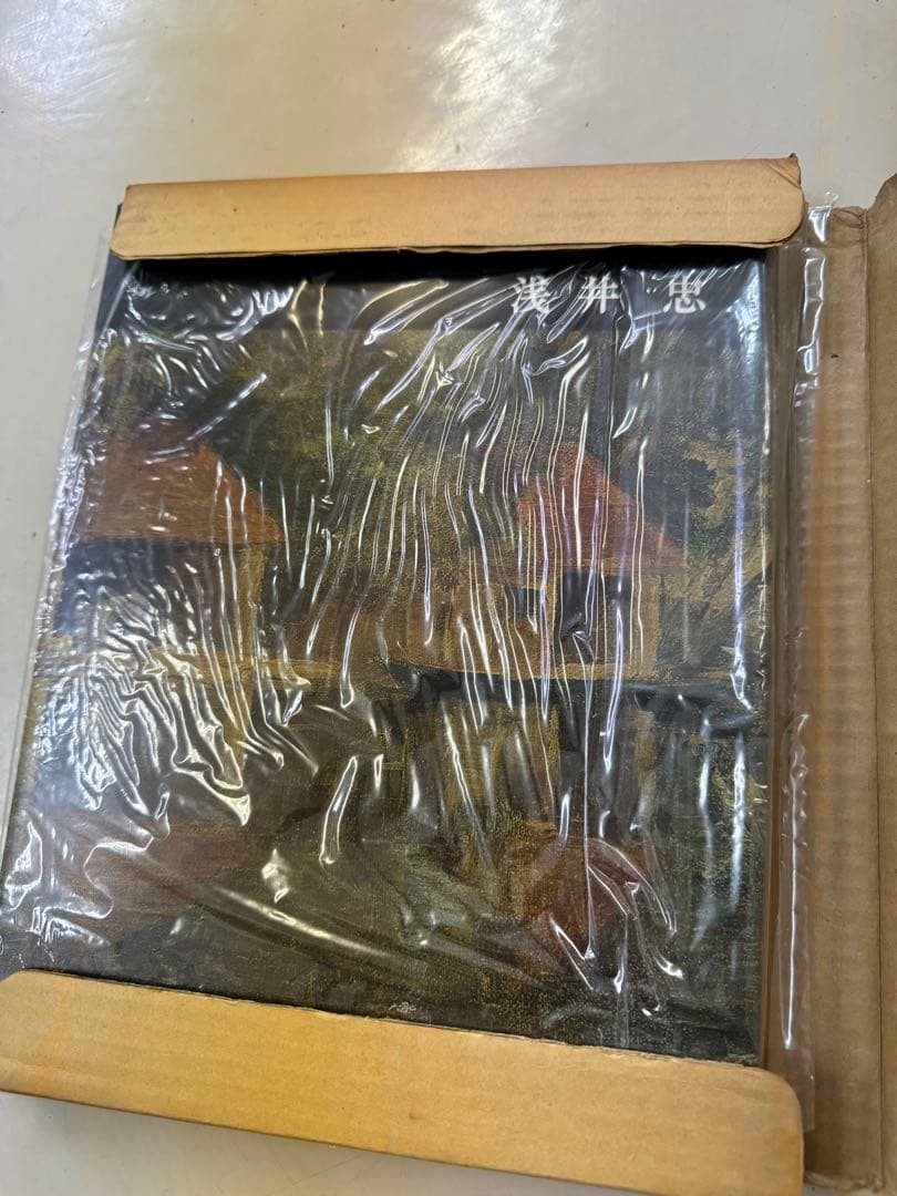 講談社版 日本近代絵画全集 23冊セット - メルカリ