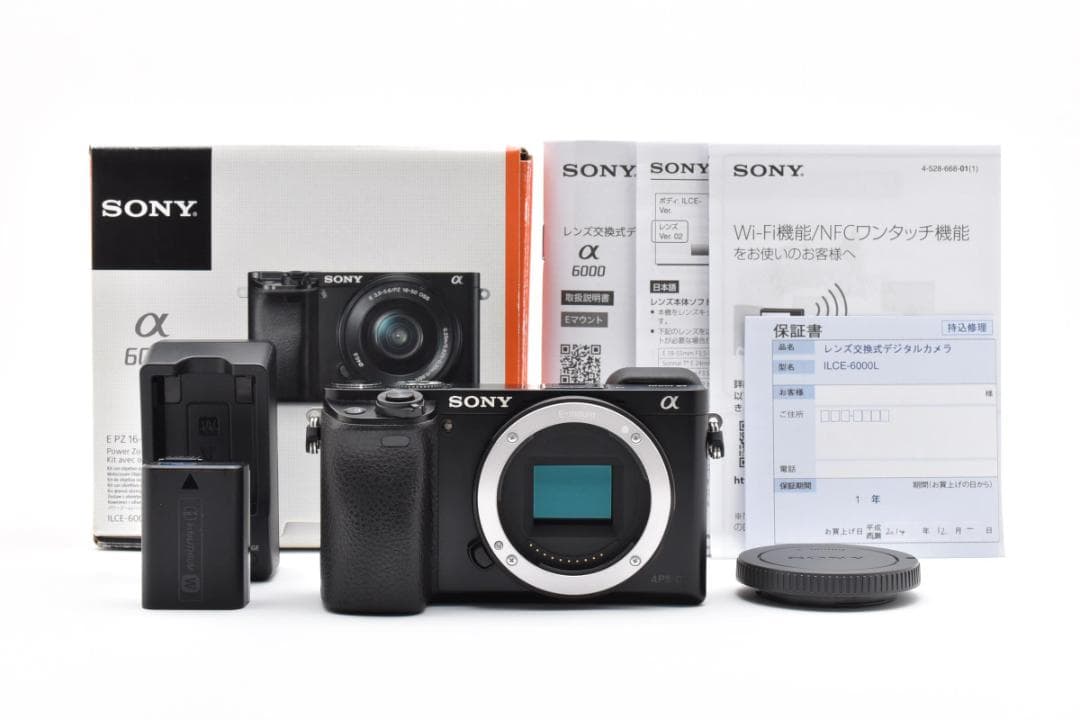 ■ 美品 ■ ソニー　SONY α6000 ボディ SONY α6000 ILCE-6000 ボディ [シルバー] 価格比較 - 価格.com