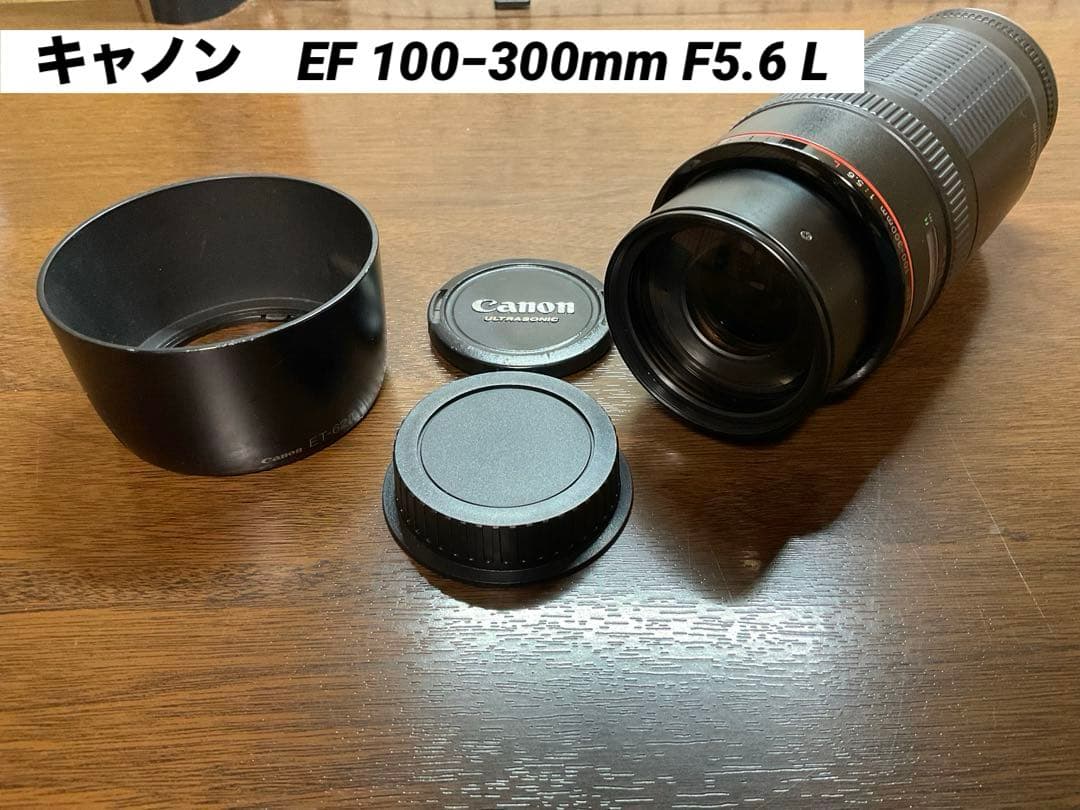 CANON キャノン EF 100-300mm F5.6 L EF100-300mm F5.6L - キヤノンカメラミュージアム