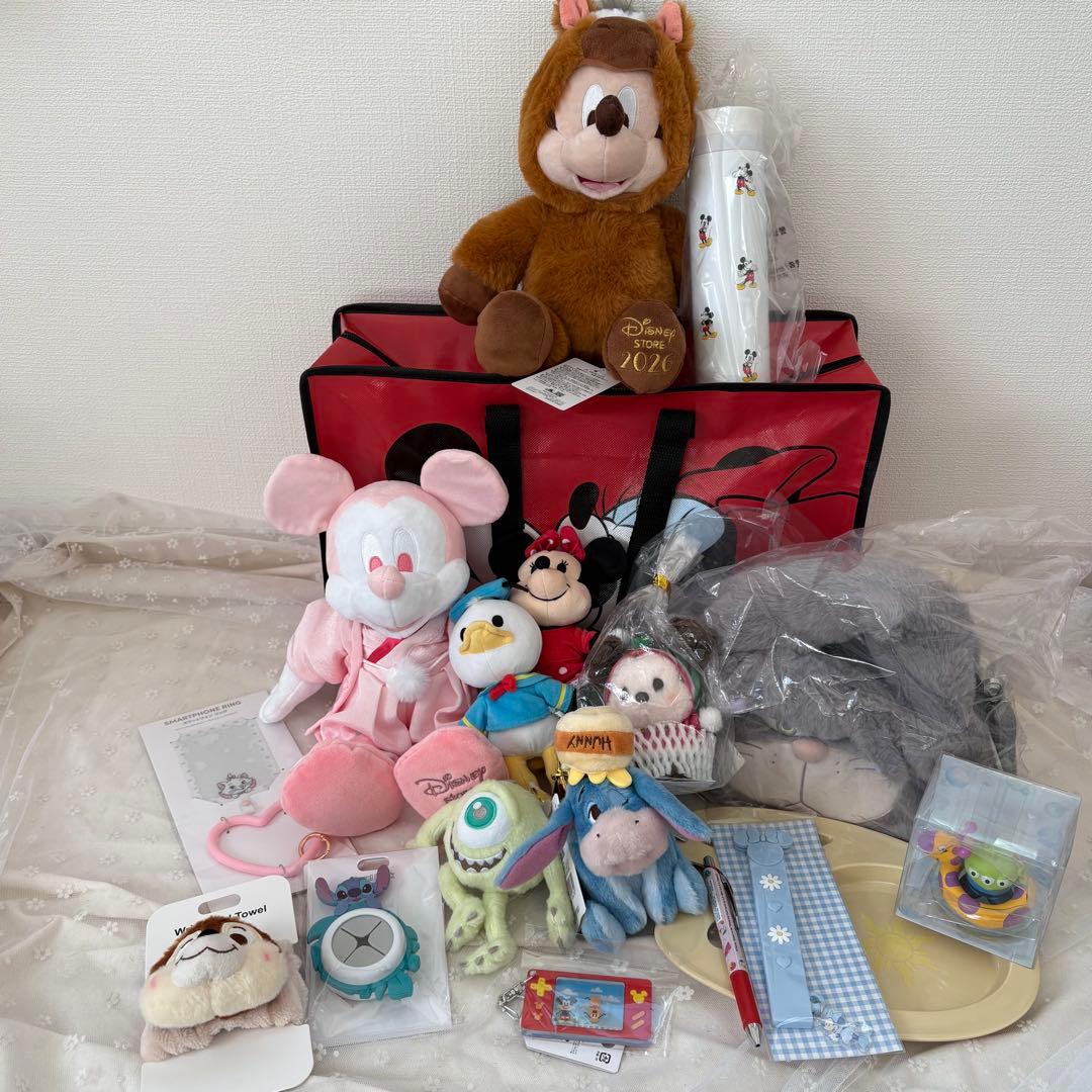 ディズニー パルパルーザ ミニー ファンダーランド スーベニアセット