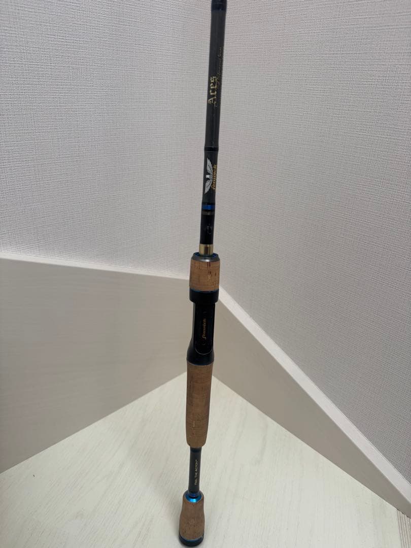 RR様 カワサキ・ZX-RR - Wikipedia