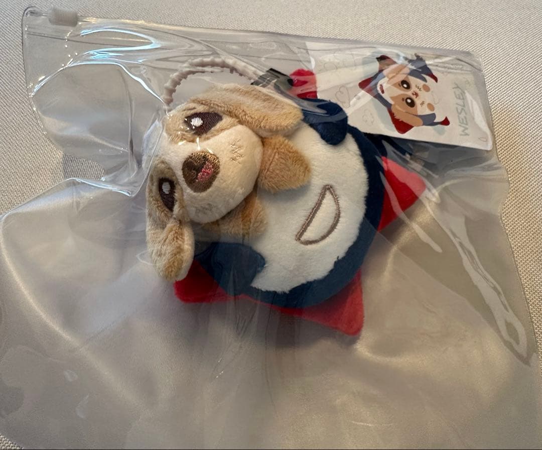 新品 GMMTV WilliamEst WESLEY DOLL 1点 - メルカリ