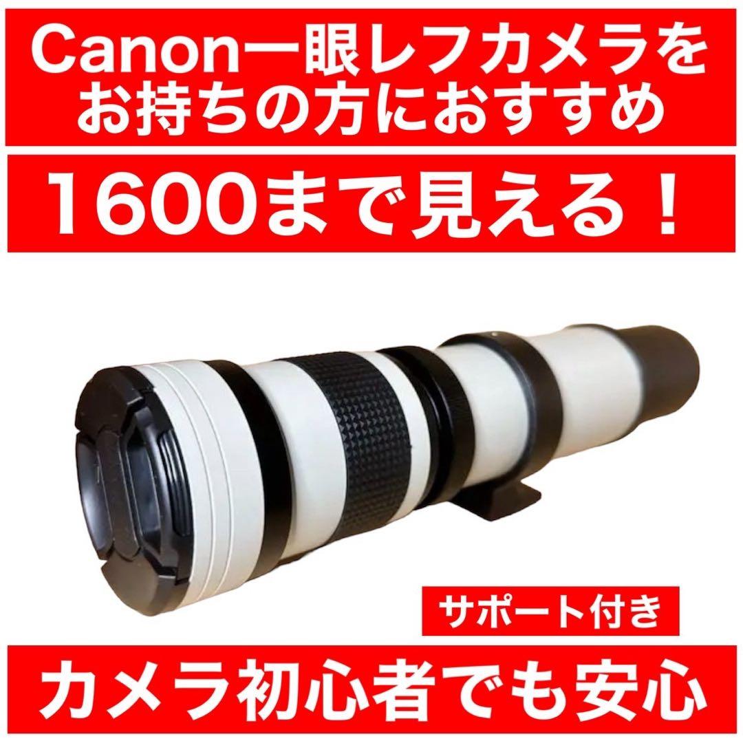1600まで見える！Canonカメラをお持ちの方におすすめ！1年365日サポート 2026年版】キヤノン（Canon）カメラ完全ガイド｜おすすめ人気モデル