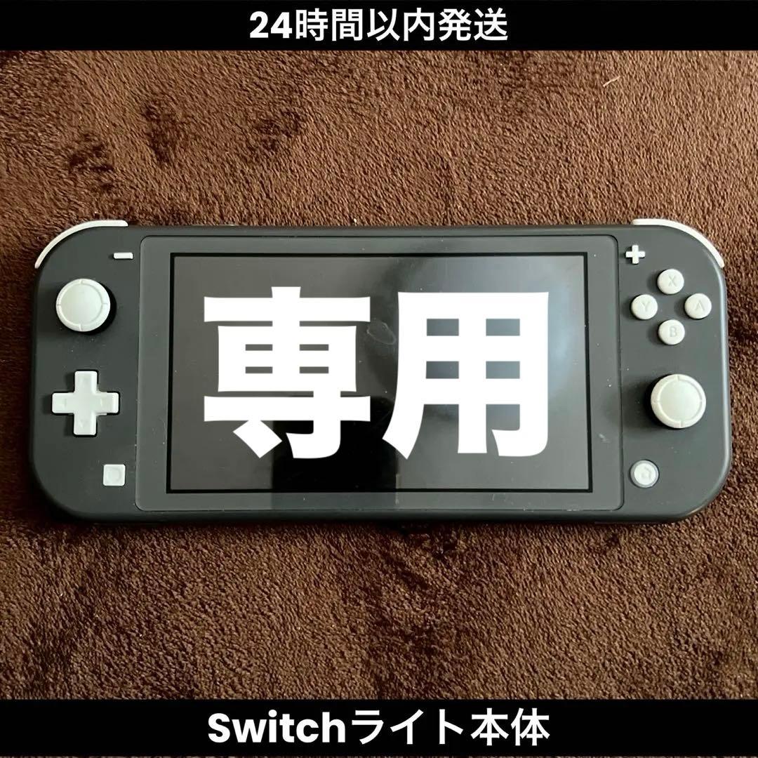 Switch Lite ライト 本体 黒 動作確認済み 任天堂（Nintendo） Switch Lite スイッチライト 本体 完品 選べる