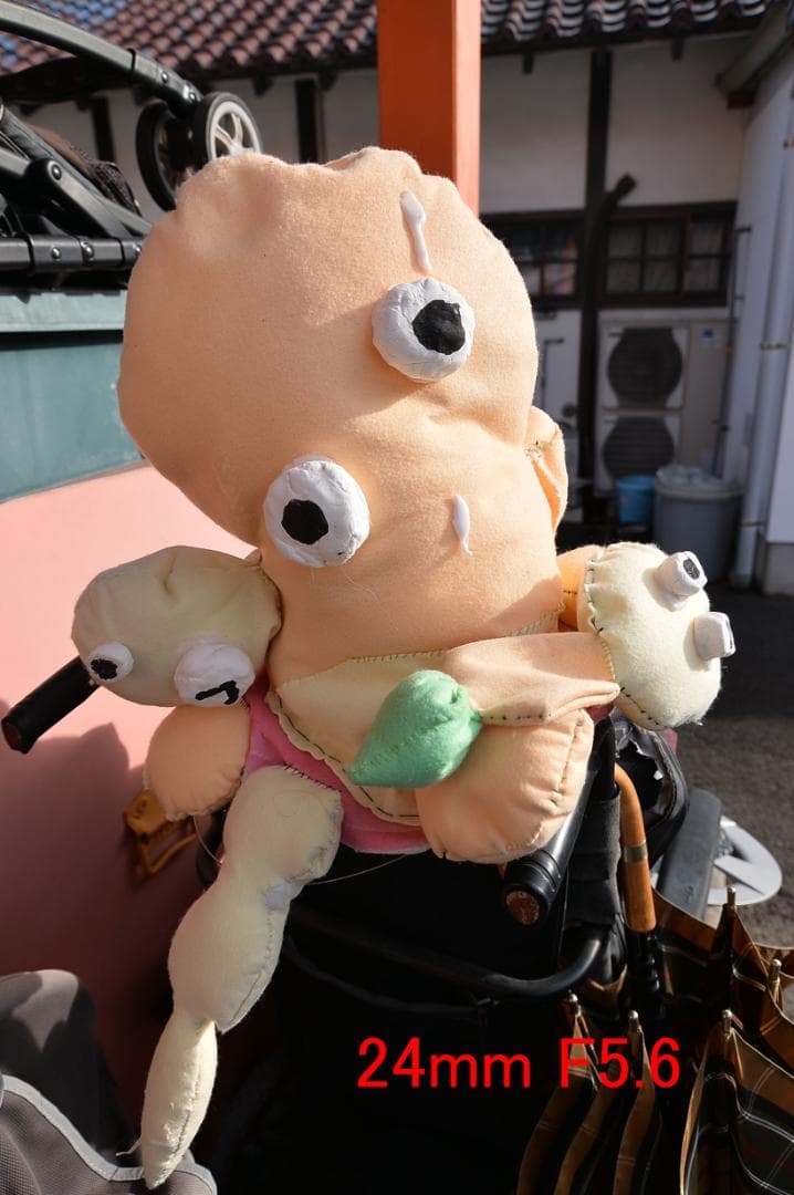 TAMRON SP 24-135mm F3.5-5.6 Nikon 50周年記念