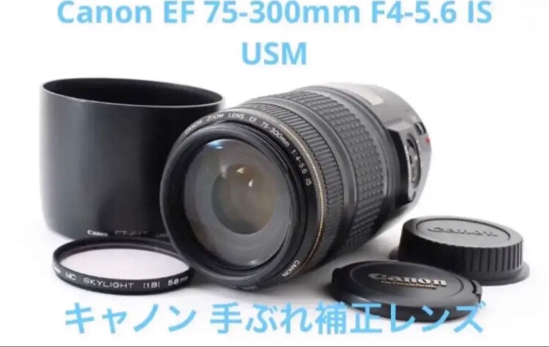 一眼レフカメラ　Canon EF 75-300mm F4-5.6 IS USM EF75-300mm F4-5.6 IS USM - キヤノンカメラミュージアム