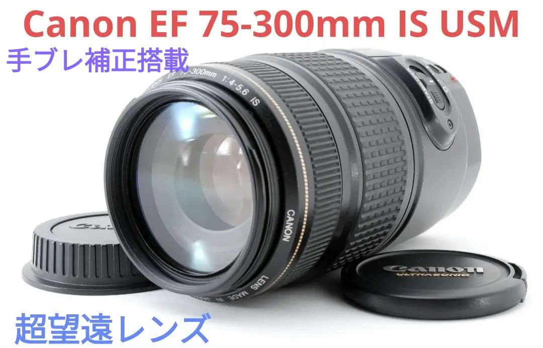 8月24日限定価格♪【大人気】Canon EF 75-300mm IS USM7月28