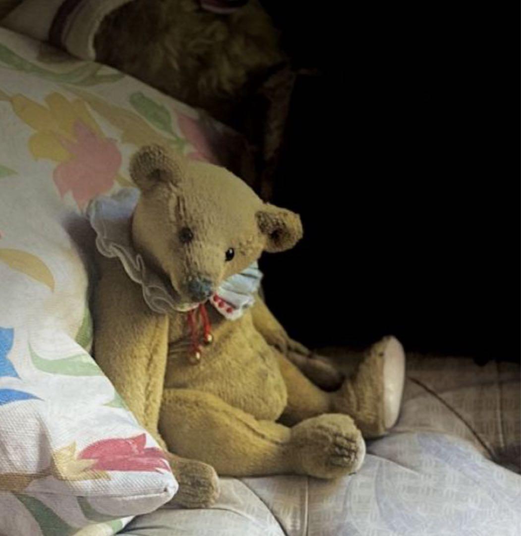 テディベア 海外作家 アーティストベア 約20cm - メルカリ