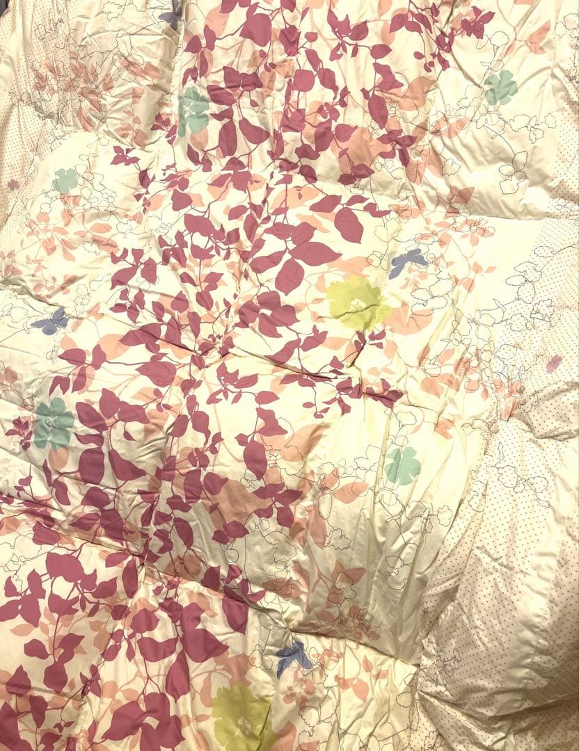 羽毛肌掛けふとん　ダブル 楽天市場】【ふるさと納税】 レビューキャンペーン 羽毛肌ふとん