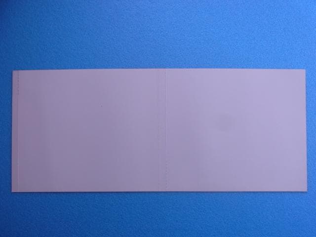 非売品 サクラ大戦 セガサターン SS ダミージャケット 販促品 見本